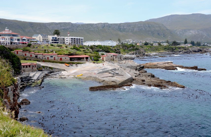 Hermanus